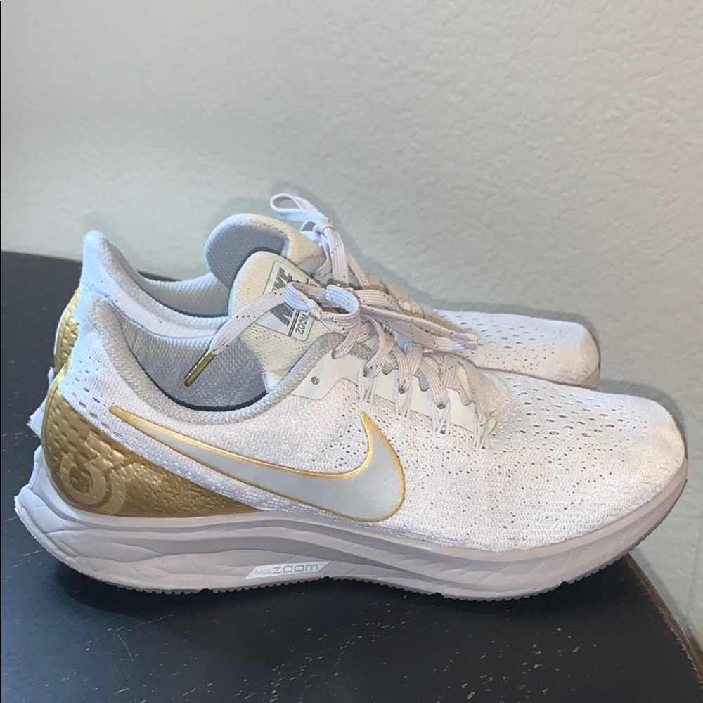 Nike zoom Pegasus 35